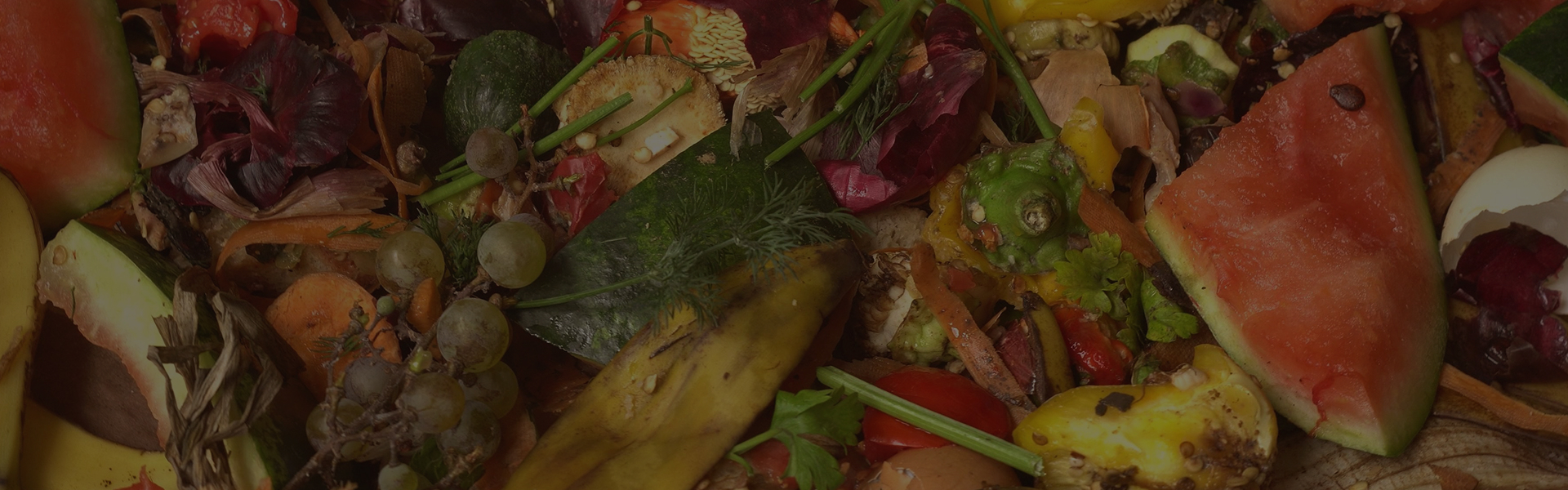 Food Waste Facts: Understanding the Impact with Reliable Data