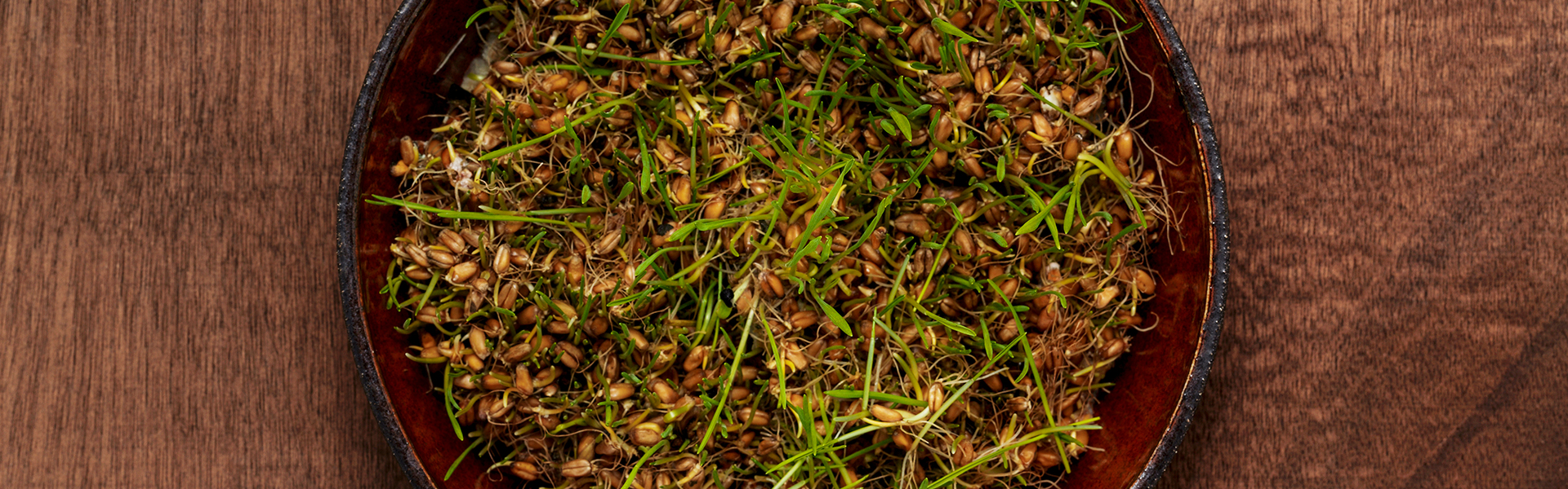 Homemade Wheatgrass 